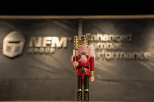 christmas-decoration-christmas-toy